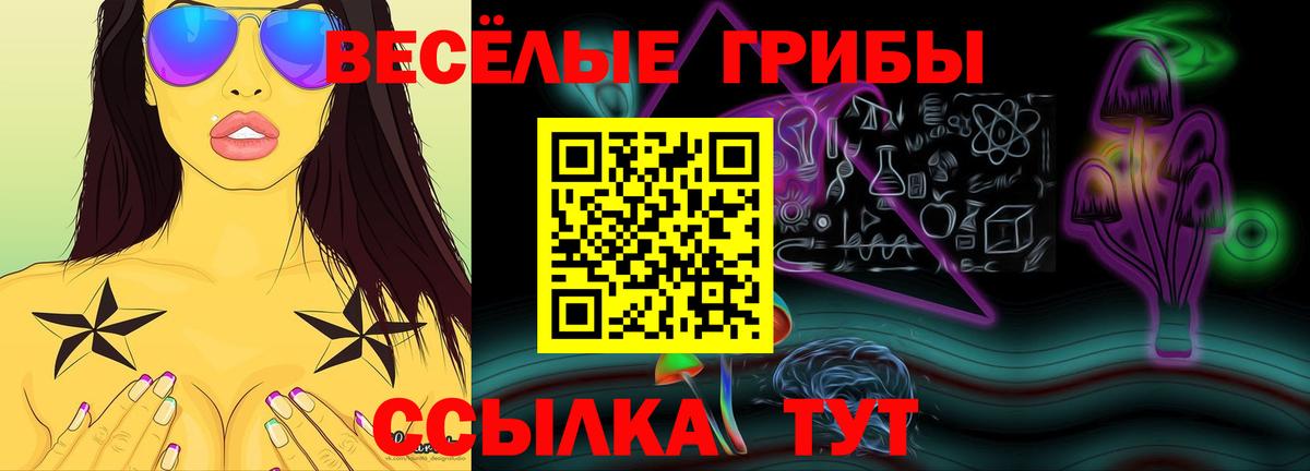 Ногинск  где продают   Вход с VPN  Псилоцибиновые грибы Cubensis 